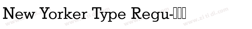 New Yorker Type Regu字体转换